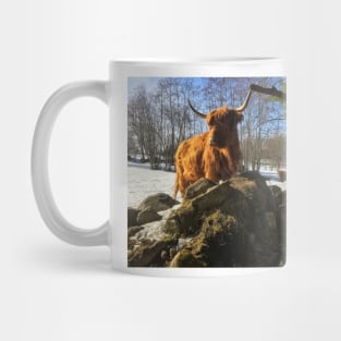 Scottish Highland Cattle Cow 1951 Mug